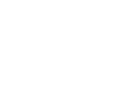 SAF Logo Transparent Background