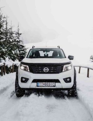 The Power of Innovation: Nissan’s Electric Car