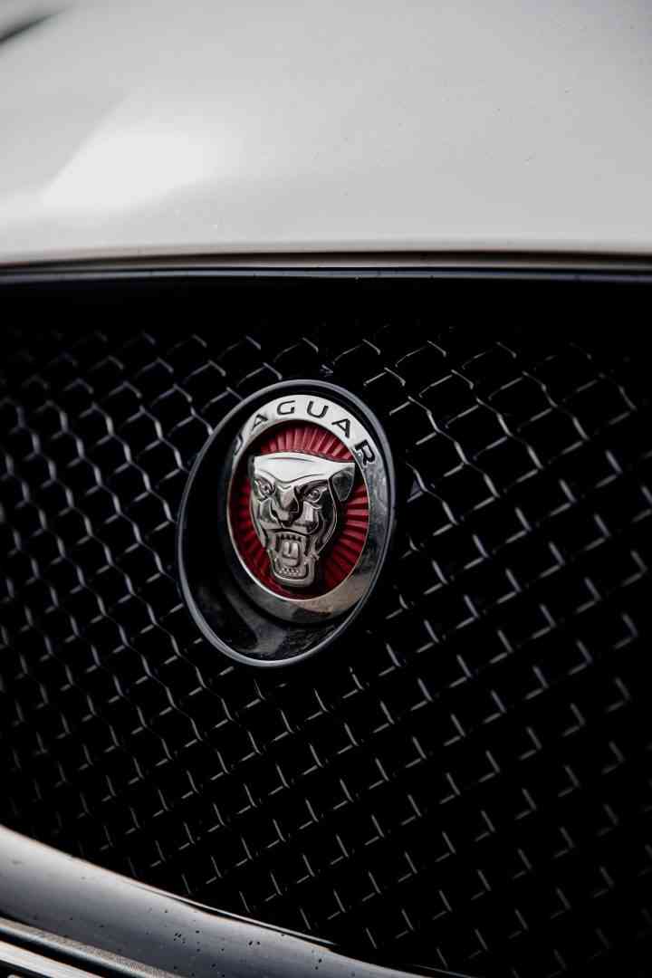 Jaguar Car badge