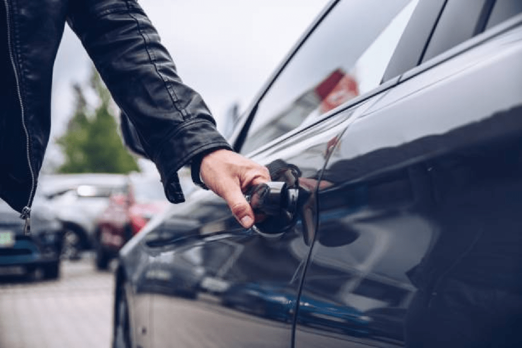 Person Opening a Car Door