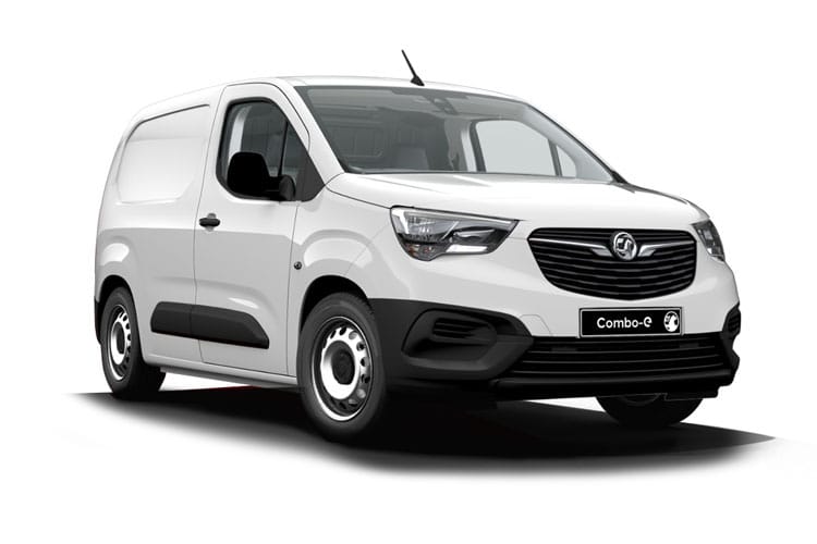 Combo Cargo L1 Electric image